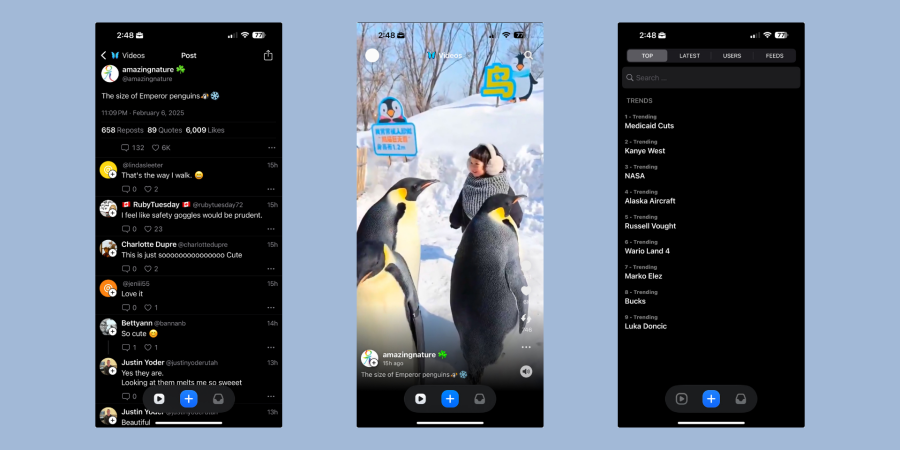Bluesky videos running on Bluescreen